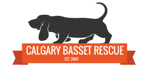 Calgary Basset Rescue Society